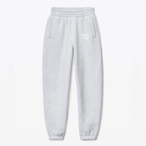 ALEXANDER WANG Foundation Terry Classic Sweatpants Grey Size L NWOT